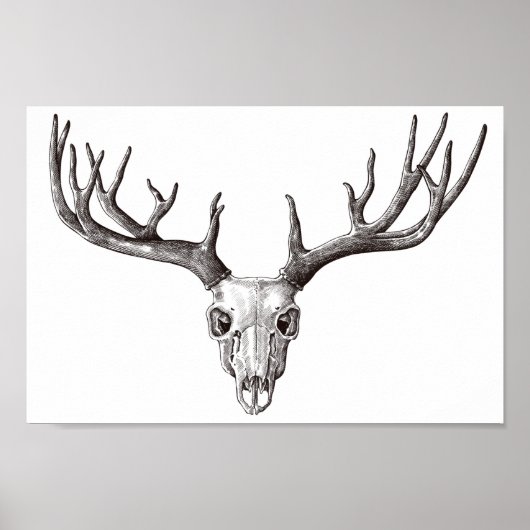 Vintager Hirschschädel/Antler Poster (Vorne)