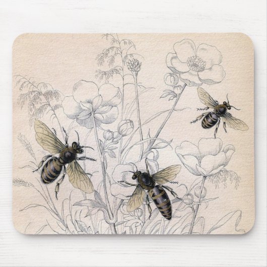 Vintager Honig-Bienen-Kunst-Druck Mousepad (Vorne)