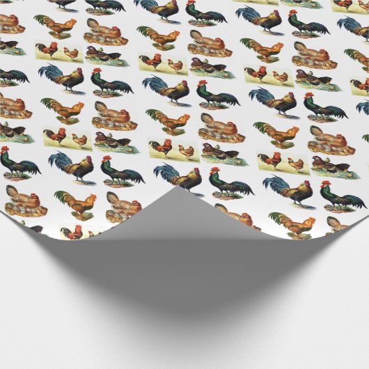 Vintager Huhnentwurf Geschenkpapier (Ecke)