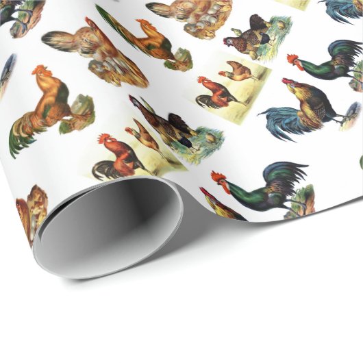 Vintager Huhnentwurf Geschenkpapier (Rolleneckpunkt)