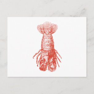 Vintager Hummer Scyllarus Arctus Postkarte