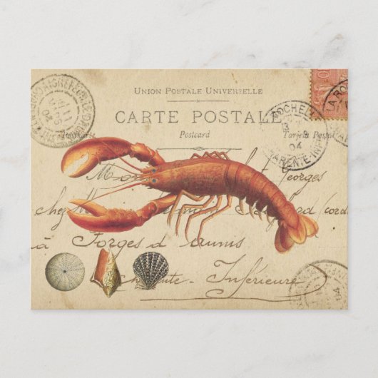 Vintager Hummer und Seashellspostkarte Postkarte (Vorderseite)
