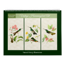 Vintager Hummingbird Art. 2026