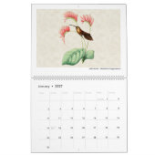 Vintager Hummingbird Art. 2026 Kalender (Jan 2027)