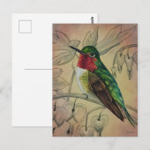 Vintager Hummingbird Nr. 4 Wasserfarben Art Postkarte (Vorne/Hinten)