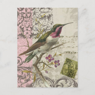 Vintager Hummingbird...Postkarte Postkarte