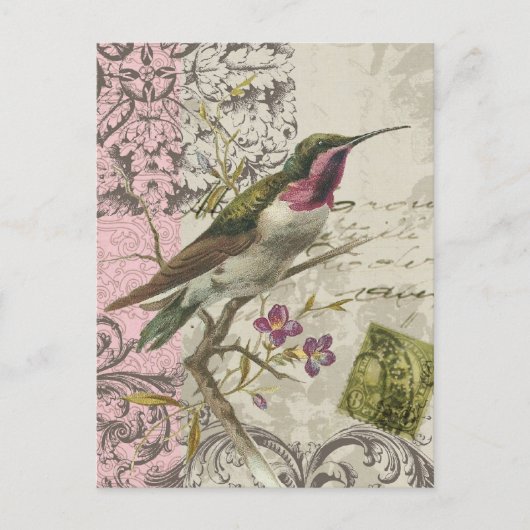 Vintager Hummingbird...Postkarte Postkarte (Vorderseite)