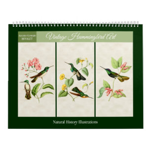 Vintager Hummingvogel Art 2025 Kalender