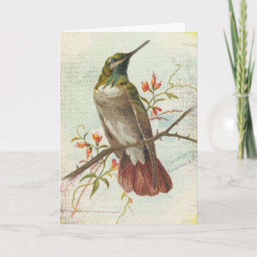 Vintager Hummingvogel, Geburtstag Karte (Vorderseite)