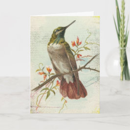 Vintager Hummingvogel, Geburtstag Karte