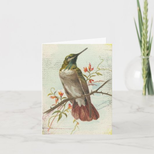 Vintager Hummingvogel, Geburtstag Karte (Vorderseite)