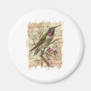 Vintager Hummingvogel Magnet