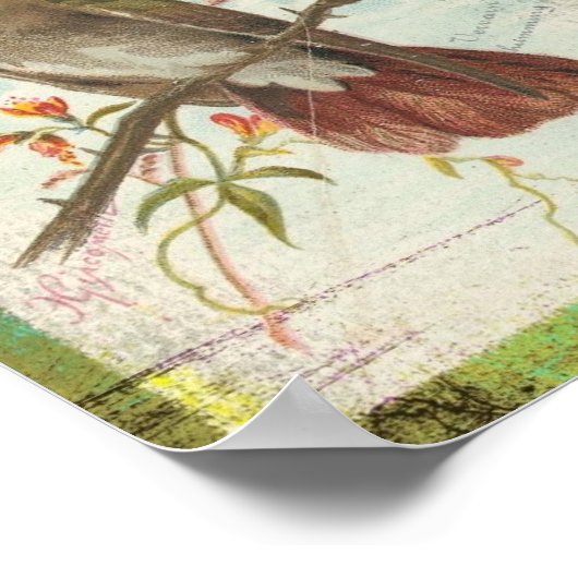 Vintager Hummingvogel Poster (Ecke)