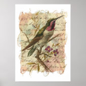 Vintager Hummingvogel Poster (Vorne)