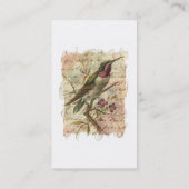 Vintager Hummingvogel Visitenkarte (Rückseite)