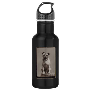 Vintager Hund Edelstahlflasche