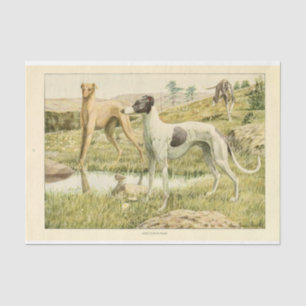 Vintager Hund Ephemera Decoupage Graue Hunde Seidenpapier