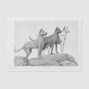 Vintager Hund Ephemera Decoupage Große Dänen Seidenpapier