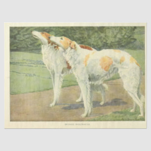 Vintager Hund Ephemera Decoupage Russian Wolfhound Seidenpapier