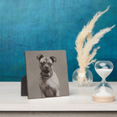 Vintager Hund Fotoplatte (InSitu)