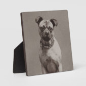 Vintager Hund Fotoplatte (Vorderseite)