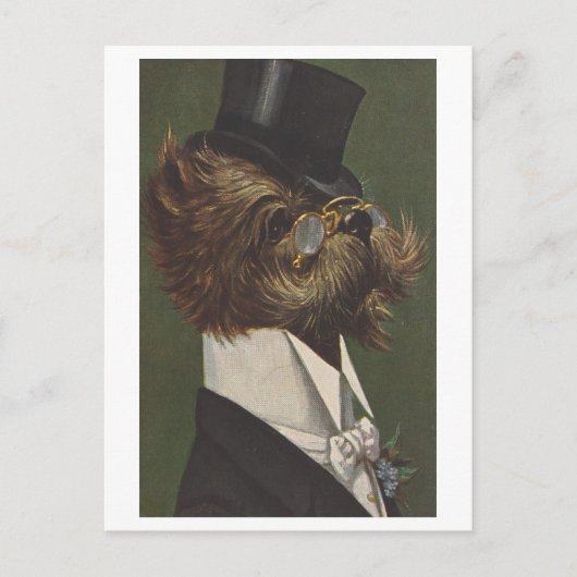 Vintager Hund in Abend Kleidung mit Brille Postkarte (Vorderseite)