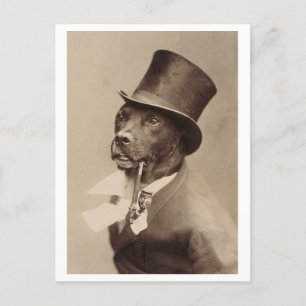 Vintager Hund mit einem Top Hat und Pipe Foto Postkarte
