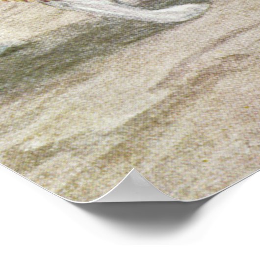 Vintager Hund Poster (Ecke)