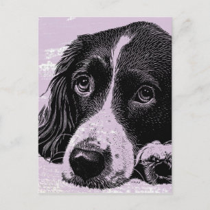 Vintager Hund Postkarte