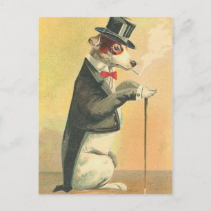 Vintager Hund Postkarte