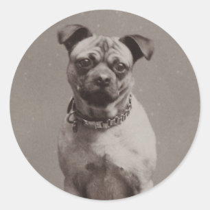 Vintager Hund Runder Aufkleber