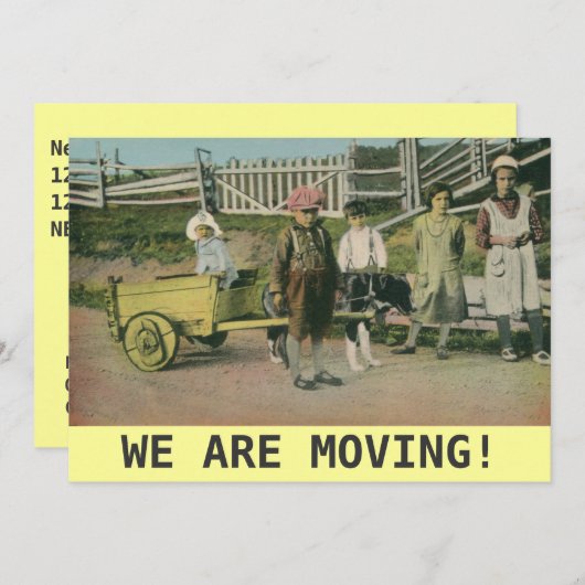 Vintager Hundekarren Wir bewegen uns Ankündigung (Vorne/Hinten)