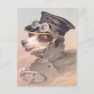 Vintager Hundeschauffeur Postkarte