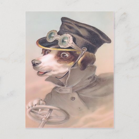 Vintager Hundeschauffeur Postkarte (Vorderseite)