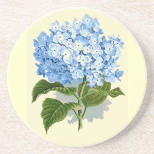 Vintager Hydrangea Untersetzer