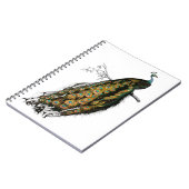 Vintager indischer Pfau Notizblock (Linke Seite)