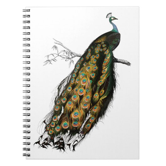 Vintager indischer Pfau Notizblock (Vorderseite)