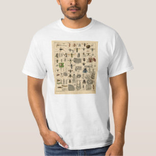 Vintager Insekten-Entomologie-Taxonomie-T - Shirt
