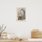 Vintager Island Falcon Bird Poster (Küche)