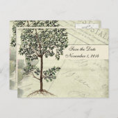 Vintager italienischer Myrte Save the Date Ankündigungspostkarte (Vorne/Hinten)