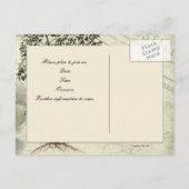 Vintager italienischer Myrte Save the Date Ankündigungspostkarte (Rückseite)