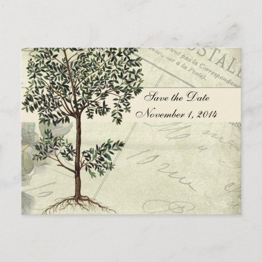 Vintager italienischer Myrte Save the Date Ankündigungspostkarte (Vorderseite)