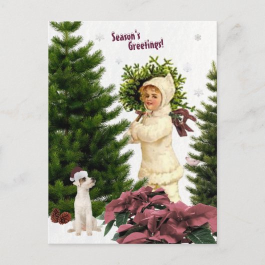 Vintager Jack Russell und Pink Poinsettias Postkar Postkarte (Vorderseite)