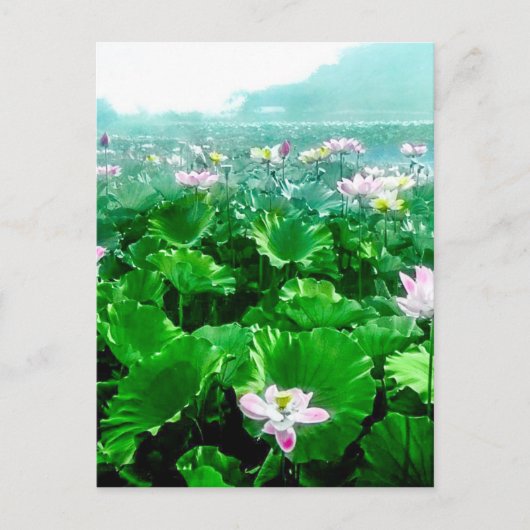 Vintager japanischer Lotus Pond Postkarte (Vorderseite)