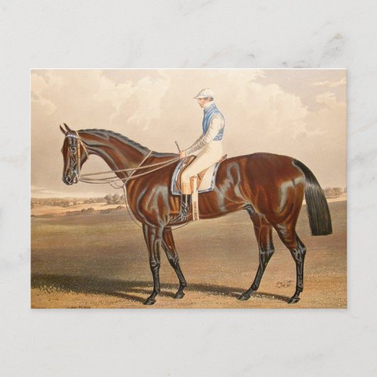 Vintager Jockey auf Racehorse Postkarte (Vorderseite)
