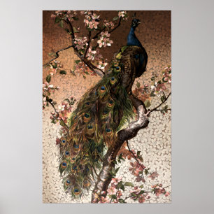 Vintager Jugendstil-Pfau zum Blumenstrauß Poster