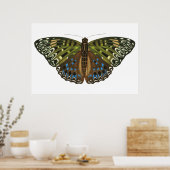 Vintager Jugendstilschmetterling Poster (Küche)