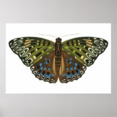 Vintager Jugendstilschmetterling Poster (Vorne)