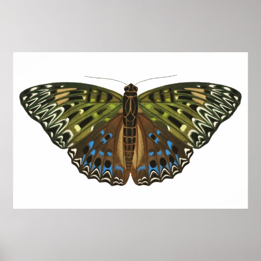 Vintager Jugendstilschmetterling Poster (Vorne)