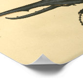 Vintager Käfer Naturgeschichte drucken Poster (Ecke)